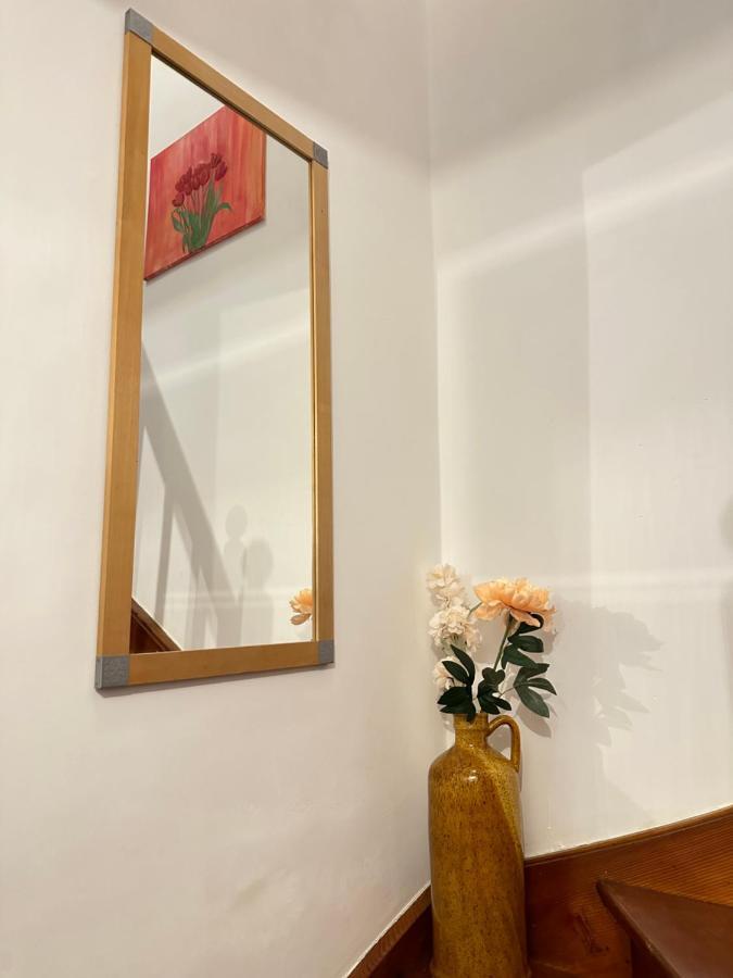 Green Paradise & Cozy Retreat Salzburg With Free Parking Exterior foto