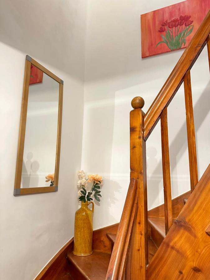 Green Paradise & Cozy Retreat Salzburg With Free Parking Exterior foto